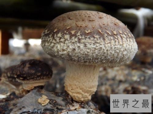 【图】产后瘦身，不要以为有了孩子就可以为所欲为，