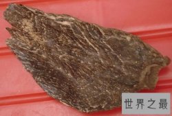 【图】沉香的功效与作用你知道多少呢