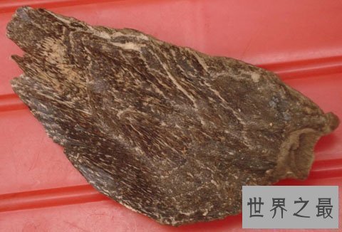 【图】沉香的功效与作用你知道多少呢