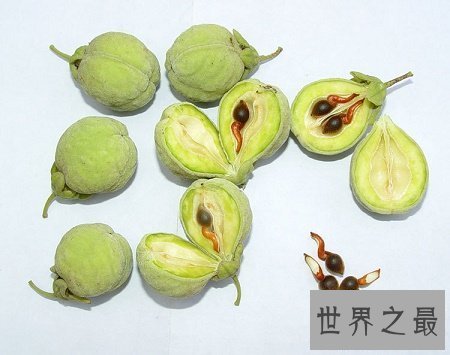 【图】沉香的功效与作用你知道多少呢