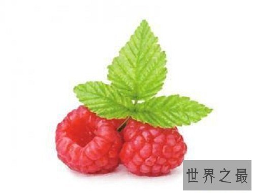 【图】蛇莓的功效和作用，没错我确实跟蛇一样，不过