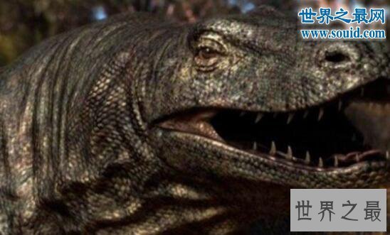 【图】世界上最大的蜥蜴,古巨蜥(长7米/重1240斤)
