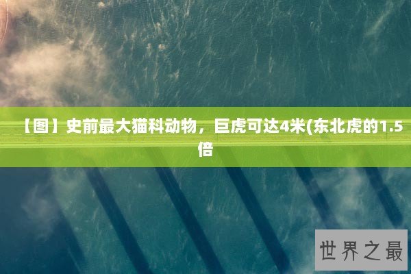 【图】史前最大猫科动物，巨虎可达4米(东北虎的1.5倍