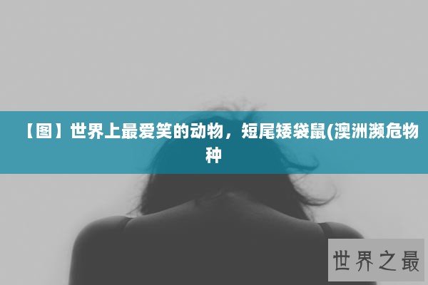 【图】世界上最爱笑的动物，短尾矮袋鼠(澳洲濒危物种