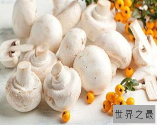 【图】享誉国际市场的食用菌——口蘑