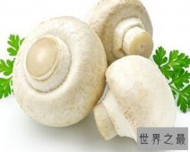 【图】享誉国际市场的食用菌——口蘑
