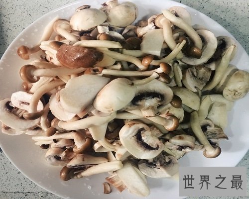 【图】享誉国际市场的食用菌——口蘑