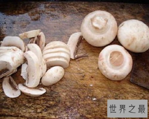 【图】享誉国际市场的食用菌——口蘑