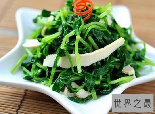 【图】救心菜，“你真的以为我可以救心吗，能救的只