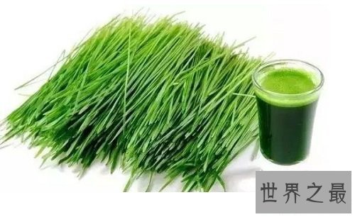 【图】每天一杯大麦若叶，让你拥有一个年轻活力的好