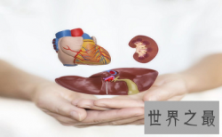 【图】肝功能异常最常见表现有哪些 肝功能异常怎么办