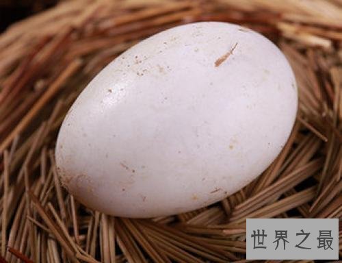 【图】孕妇可以吃鹅蛋吗,对于这种蛋类食物只要不吃