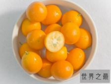 【图】金桔的做法有哪些呢 金桔怎么吃风味更佳呢