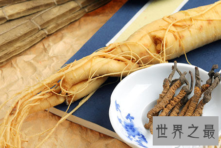 【图】西洋参你会吃吗 让我们揭秘西洋参的作用与功效