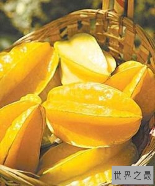 【图】杨桃的功效和作用，生晋安侯官县，似南方橄榄