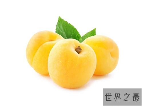 【图】杨桃的功效和作用，生晋安侯官县，似南方橄榄