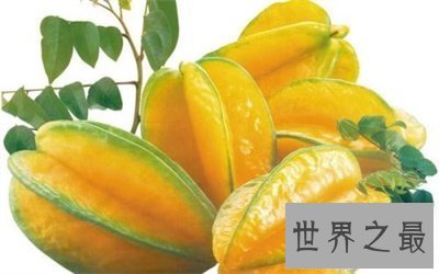 【图】拥有着看着都垂涎欲滴的外貌的水果 杨桃