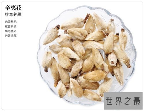 【图】辛夷花的作用和功效介绍 辛夷花怎么食用