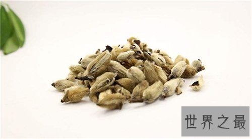 【图】辛夷花的作用和功效介绍 辛夷花怎么食用