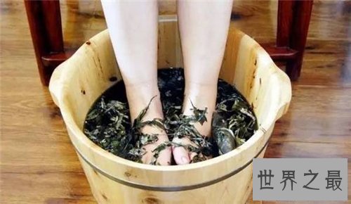 【图】艾叶的功效与作用 艾叶泡脚有什么好处