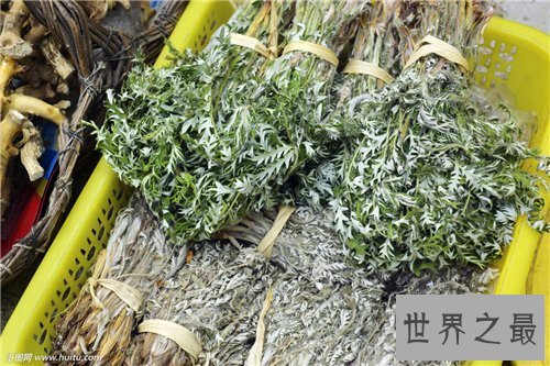 【图】艾叶的功效与作用 艾叶泡脚有什么好处