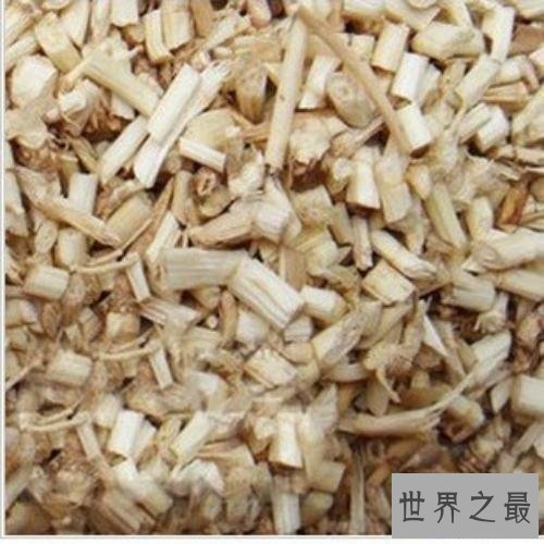 【图】了解白茅根的作用与功效，让你更加关爱自己的