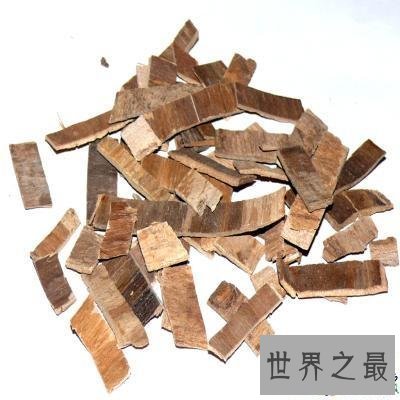 【图】这里有你想要了解的合欢皮的功效与作用