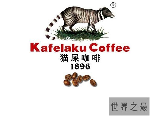 【图】大家知道猫屎咖啡的由来吗啊？今天来告诉你