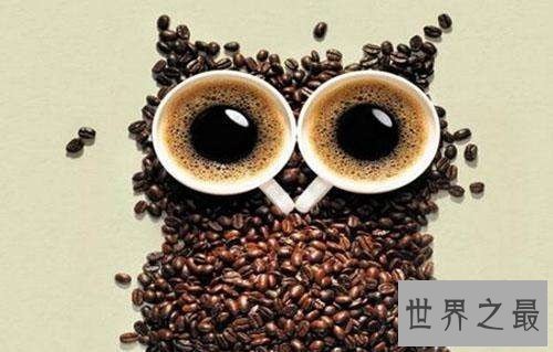 【图】大家知道猫屎咖啡的由来吗啊？今天来告诉你