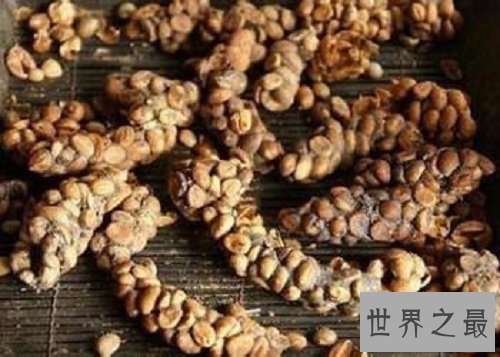 【图】大家知道猫屎咖啡的由来吗啊？今天来告诉你