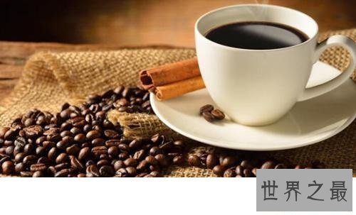 【图】大家知道猫屎咖啡的由来吗啊？今天来告诉你