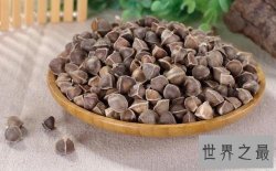 【图】辣木籽，辣木籽的功效，辣木籽对皮肤好吗，可