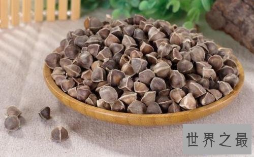 【图】辣木籽，辣木籽的功效，辣木籽对皮肤好吗，可