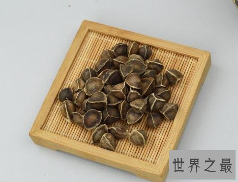 【图】辣木籽，辣木籽的功效，辣木籽对皮肤好吗，可