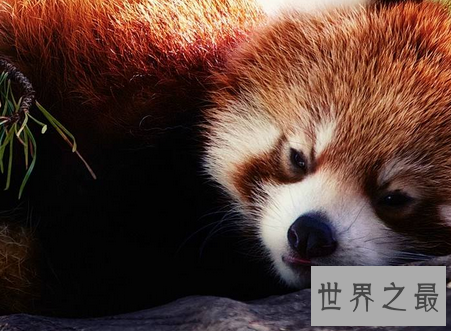 【图】高清全屏的电脑桌面壁纸你一定不能错过的壁纸