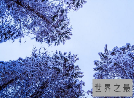 【图】高清全屏的电脑桌面壁纸你一定不能错过的壁纸