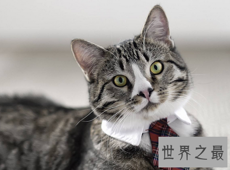 【图】高清全屏的电脑桌面壁纸你一定不能错过的壁纸