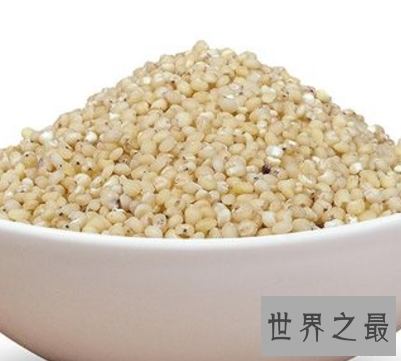 【图】高粱米的功效与作用 你知道它的最佳食用方法和