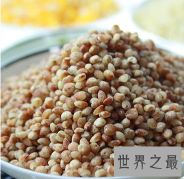 【图】高粱米的功效与作用 你知道它的最佳食用方法和