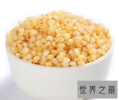 【图】高粱米的功效与作用 你知道它的最佳食用方法和
