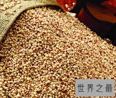 【图】高粱米的功效与作用 你知道它的最佳食用方法和