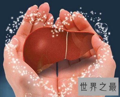 【图】你知道你的肝在哪吗 快来看看最具体肝的位置图
