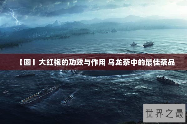 【图】大红袍的功效与作用 乌龙茶中的最佳茶品 【图】大红袍的功效与作用 乌龙茶中的最佳茶品