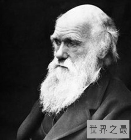 【图】人类到底是怎么来的 神创 进化 还是另有原因