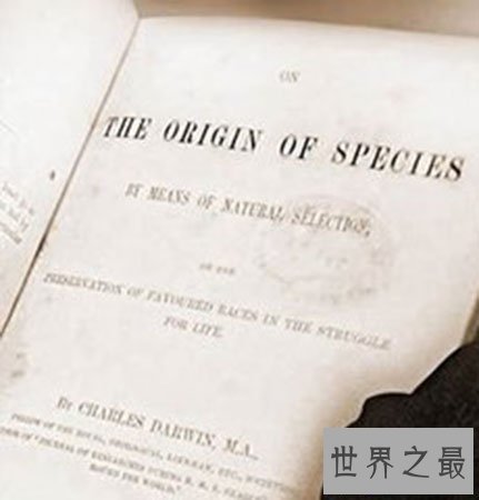 【图】人类到底是怎么来的 神创 进化 还是另有原因