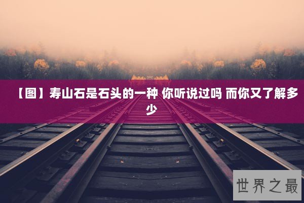 【图】寿山石是石头的一种 你听说过吗 而你又了解多少