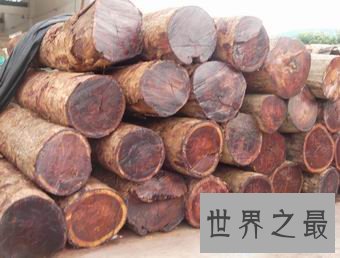 【图】在普通花梨木中潜力最高的缅甸花梨