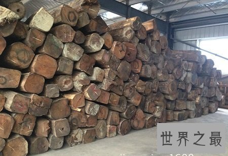 【图】在普通花梨木中潜力最高的缅甸花梨