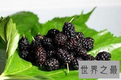 【图】最平民护肝食物有哪些 十种食物让您轻松保护肝