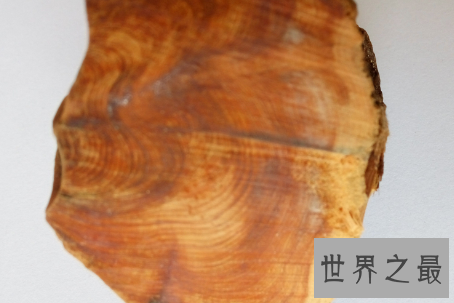 【图】崖柏手串的辨别方法与盘玩技巧大放送